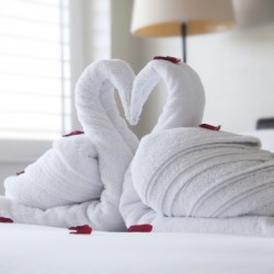 山梨恋活コミュニティ婚活マッチングアプリ合コンなら入倉結婚相談所山梨県甲府店結婚活動マップ