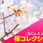 【大人気！Sakura Collection✨】L＆Co.(エルアンドコー)さんの絶対に喜ばれるシリーズ♪
