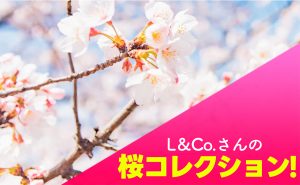 【大人気！Sakura Collection✨】L＆Co.(エルアンドコー)さんの絶対に喜ばれるシリーズ♪