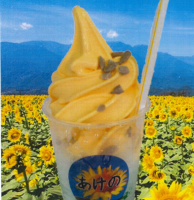 甲府市、富士吉田市、都留市、甲斐市、南アルプス市、韮崎市、北杜市、中央市、山梨市、笛吹市、富士河口湖町、大月市、昭和町で婚活するなら山梨恋活コミュニティ　入倉結婚相談所