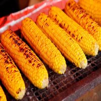 甲府市、富士吉田市、都留市、甲斐市、南アルプス市、韮崎市、北杜市、中央市、山梨市、笛吹市、富士河口湖町、大月市、昭和町で婚活するなら山梨恋活コミュニティ　入倉結婚相談所