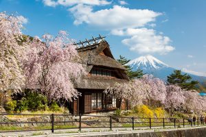 西湖いやしの里根場